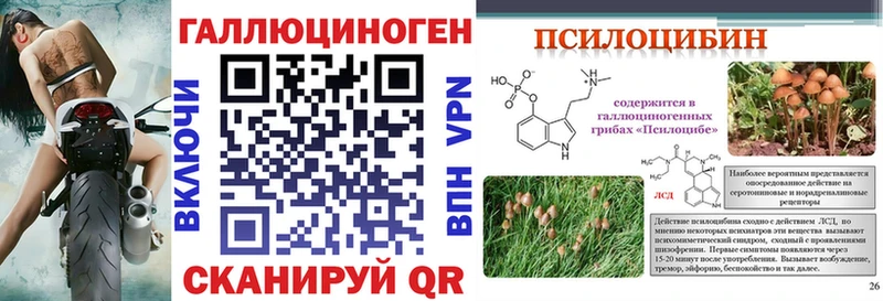 Псилоцибиновые грибы Magic Shrooms закладка Йошкар-Ола